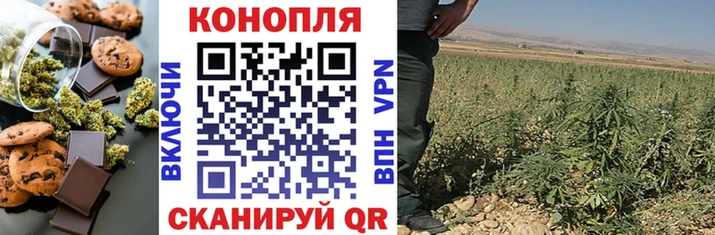 Canna-Cookies конопля Прохладный