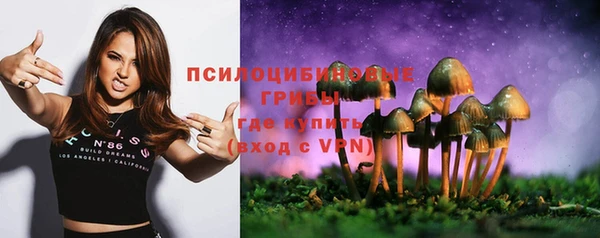 COCAINE Майский