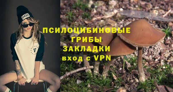 прущий лед Магас