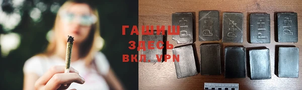 индика Вяземский