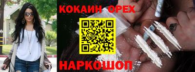 стаф Кандалакша