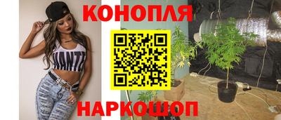 стаф Кандалакша