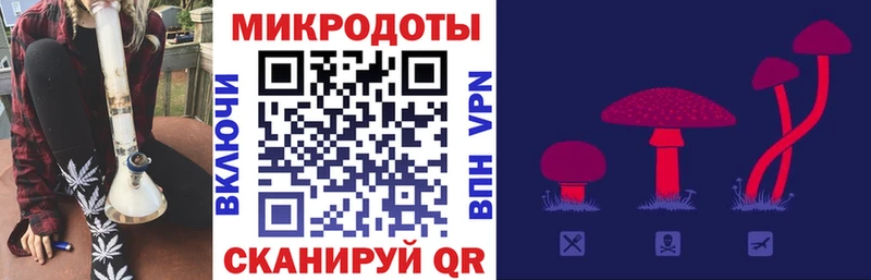 МЕГА ТОР  Прохладный  Псилоцибиновые грибы MAGIC MUSHROOMS 