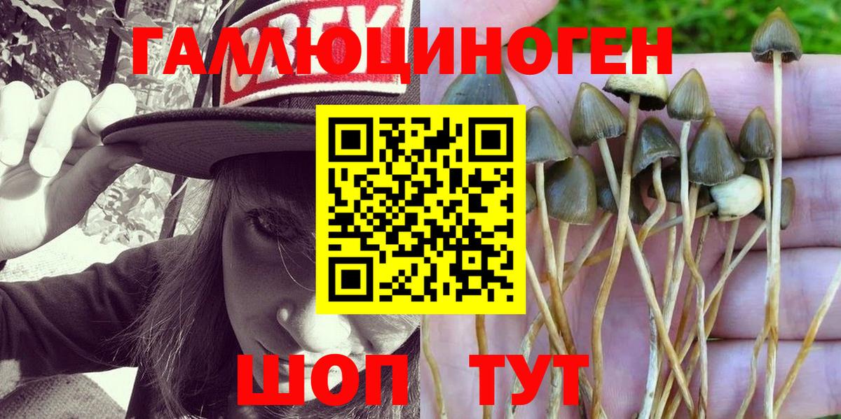 Псилоцибиновые грибы ЛСД Прохладный