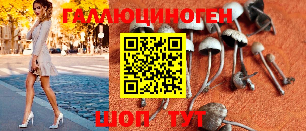 Псилоцибиновые грибы ЛСД  Прохладный  Псилоцибиновые грибы MAGIC MUSHROOMS 