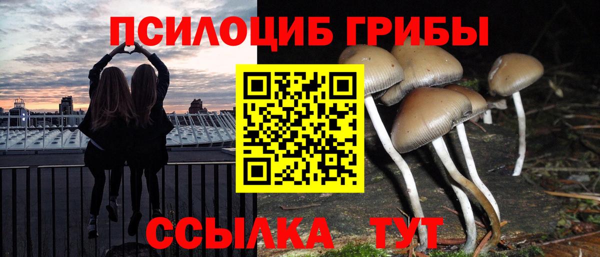 Галлюциногенные грибы ЛСД Прохладный